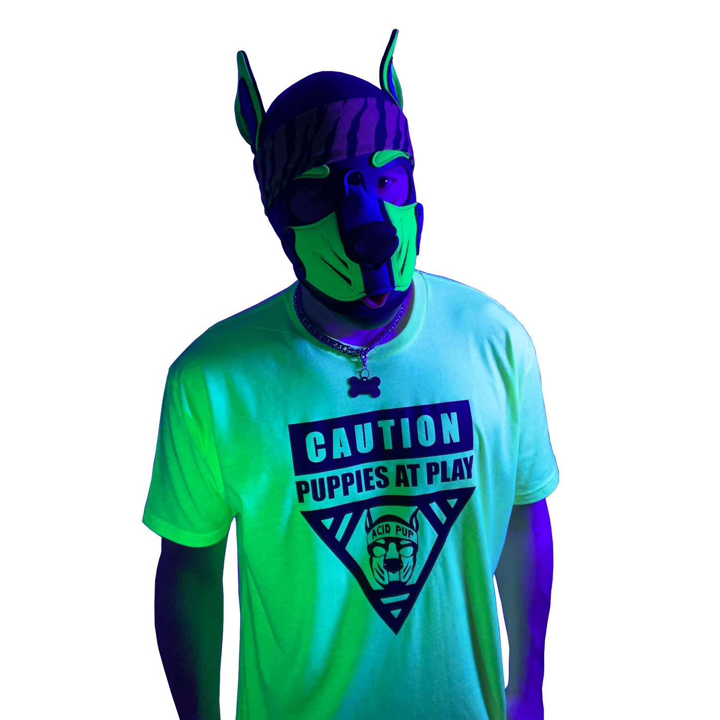 Acid Pup Caution Puppies at Play Shirt