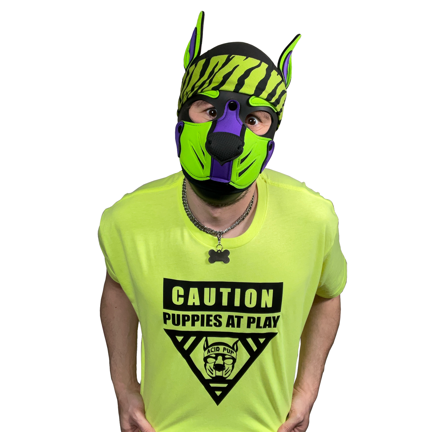 Acid Pup Caution Puppies at Play Shirt
